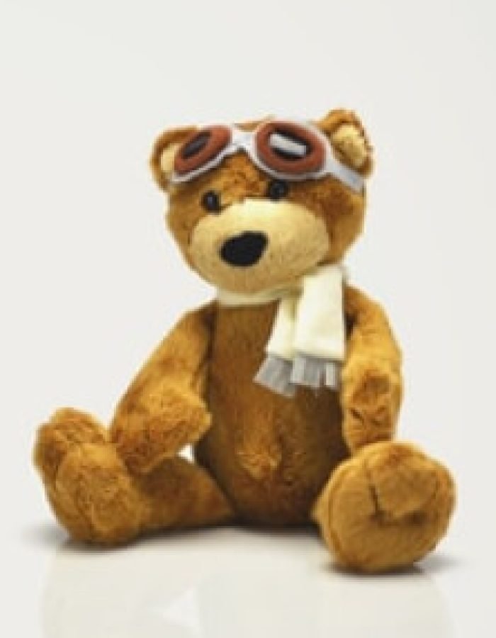 Teddy Bear Ready To Flight Doll